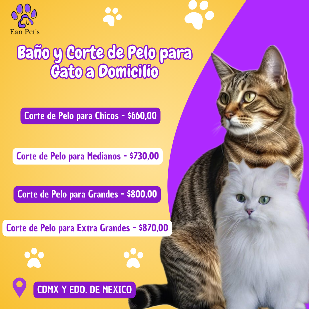 Baño y Corte de Pelo para Gato a Domicilio en CDMX & Estado de México