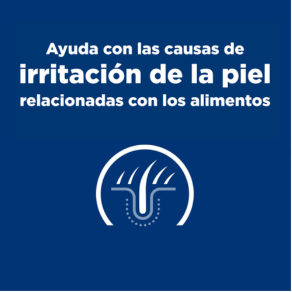 Hill's Prescription Diet z/d 370g - Paquete de 12 latas Perro Adulto