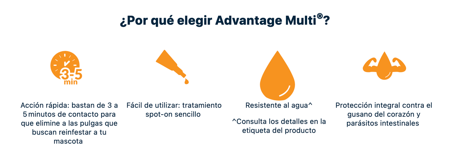 Advantage Multi