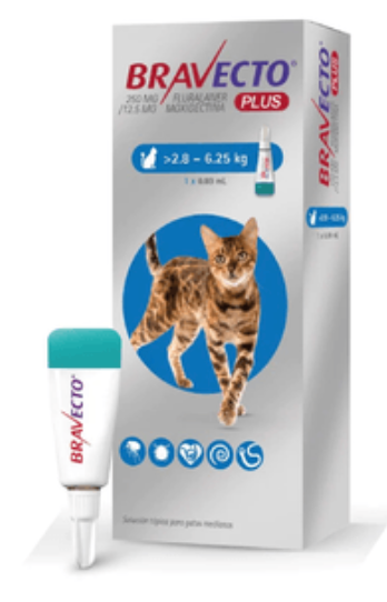 Bravecto Plus Cats - MSD