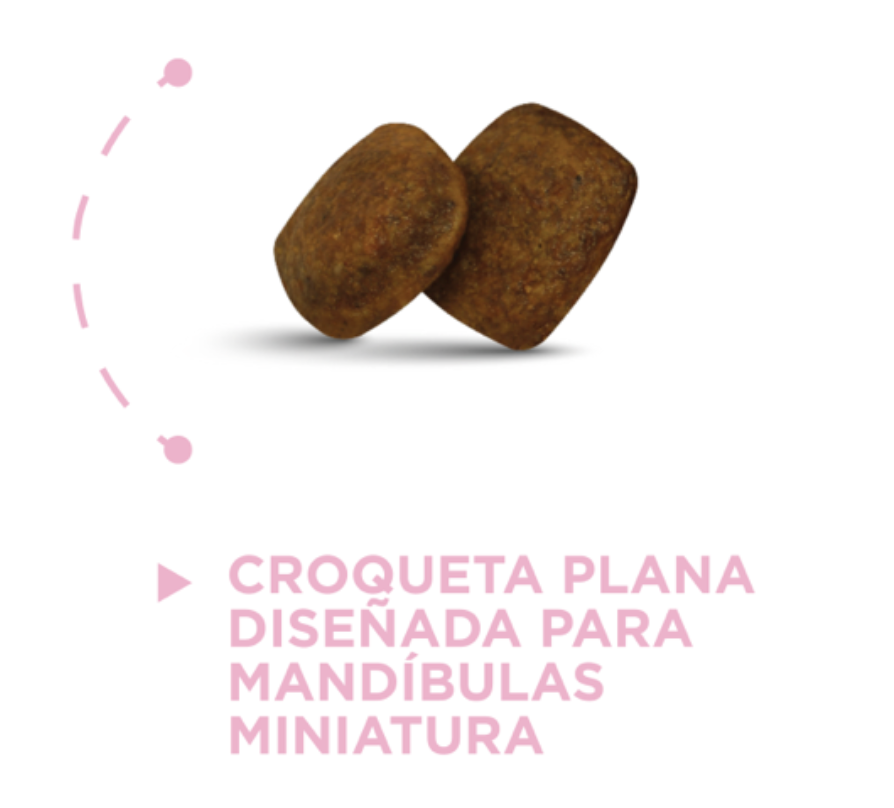 NUPEC -  CACHORRO RAZAS MINI 1KG