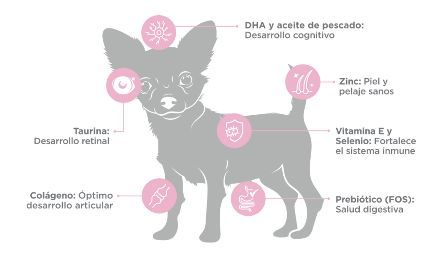NUPEC -  CACHORRO RAZAS MINI 1KG