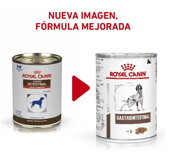 Gastro-Intestinal Loaf lata - PACK 6 PZAS . ROYAL CANIN
