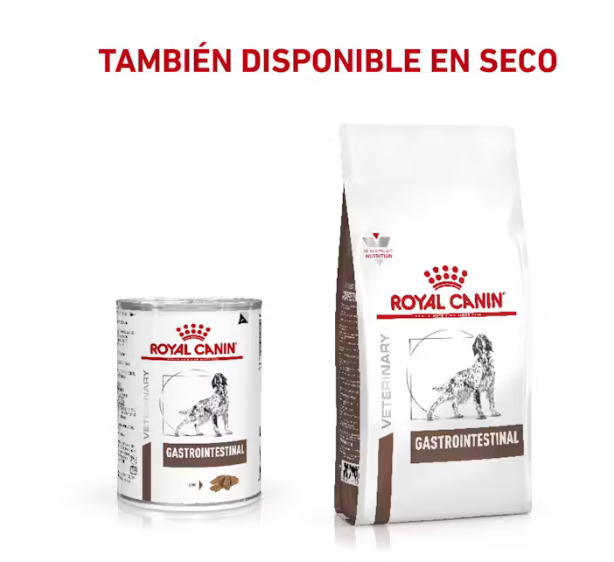 Gastro-Intestinal Loaf lata - PACK 6 PZAS . ROYAL CANIN