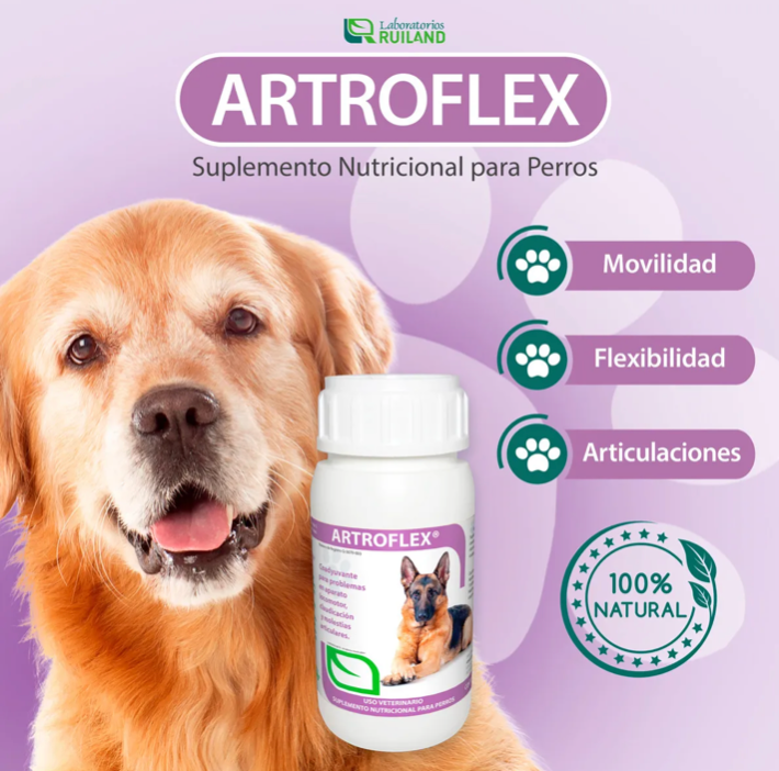 ARTROFLEX FRASCO CON 60 TABLETAS ( CONDROPROTECTOR )