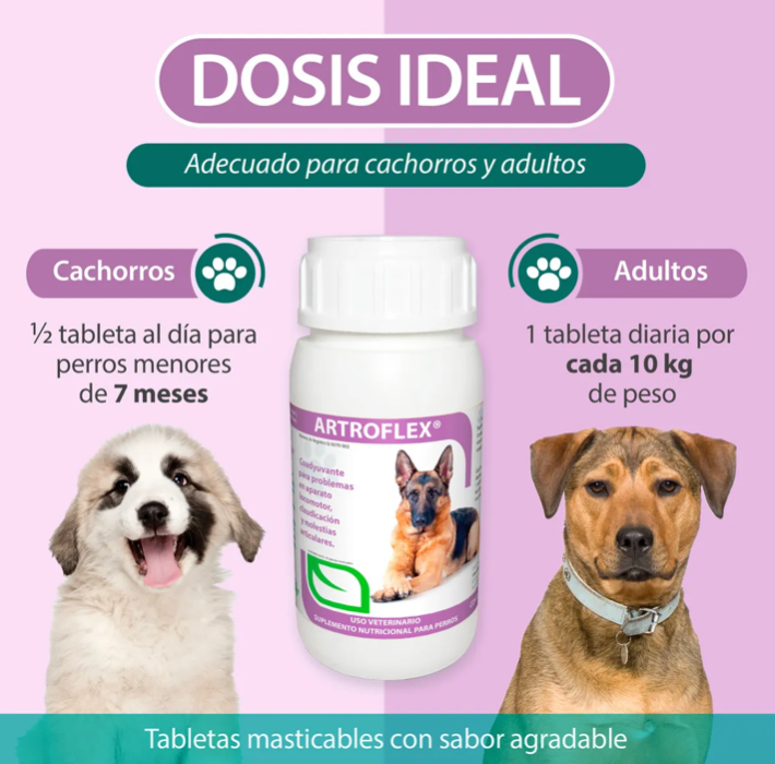 ARTROFLEX FRASCO CON 60 TABLETAS ( CONDROPROTECTOR )