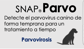 Prueba SNAP Parvo  5 Pzas. - INDEXX
