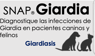 Prueba SNAP Giardia 5 Pzas. - INDEXX