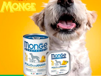 Monge Alimento para Perro, Pavo con citricos Grain Free, 4 latas de 150 gr