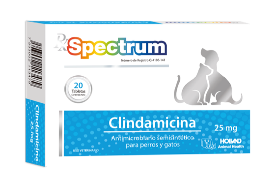 RX SPECTRUM® CLINDAMICINA - Holland