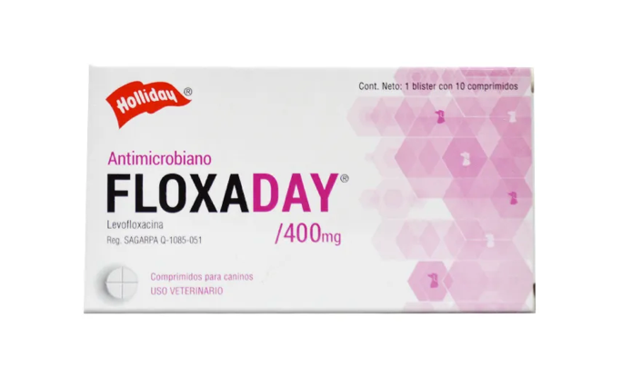 Floxaday - Holliday