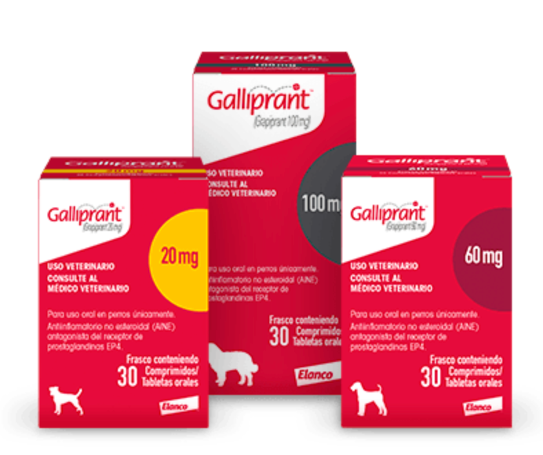 GALLIPRANT 30 TAB - ELANCO