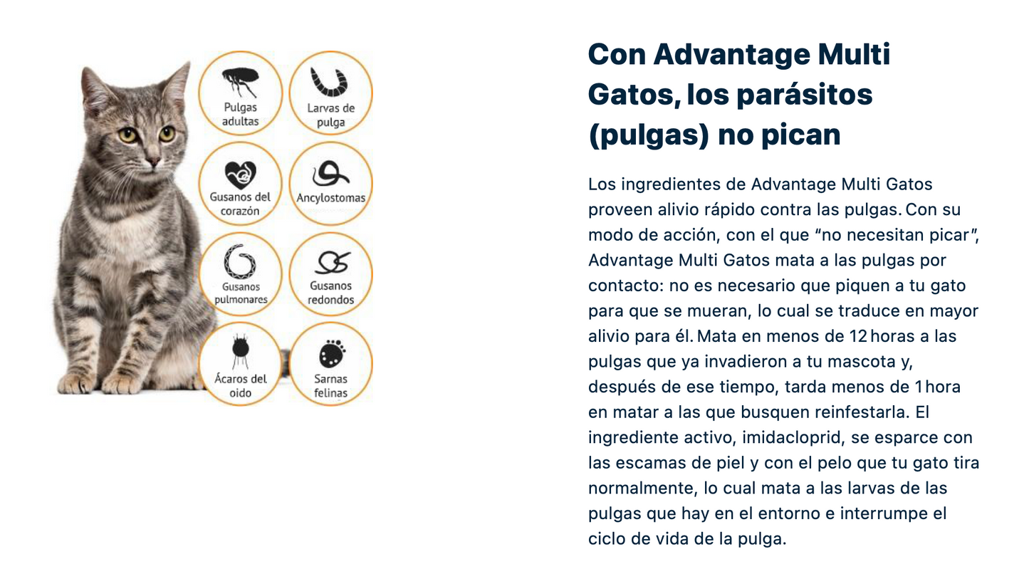 Advantage Multi Gato- ELANCO