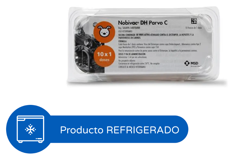 Nobivac DH Parvo C + Solvente