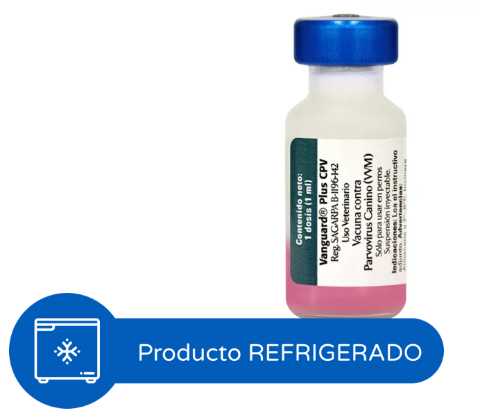 Vanguard Plus CPV / PACK.  2 Unidades
