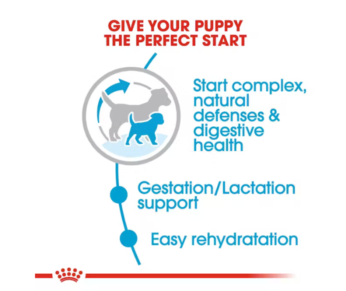 Royal Canin - Small Starter Mother & BabyDog