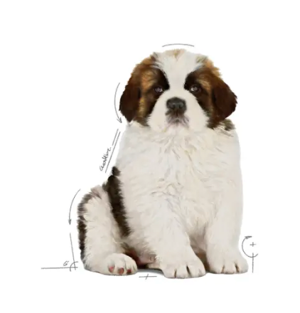 Royal Canin -  Giant Puppy 13.61 kg