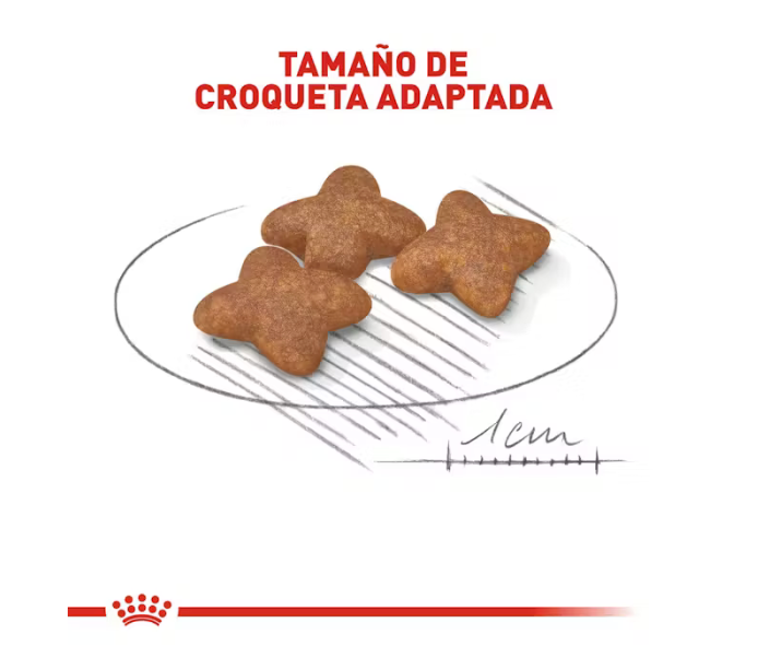 Royal Canin -Small Adult
