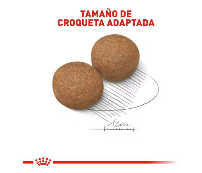 Royal Canin -  Large Adult