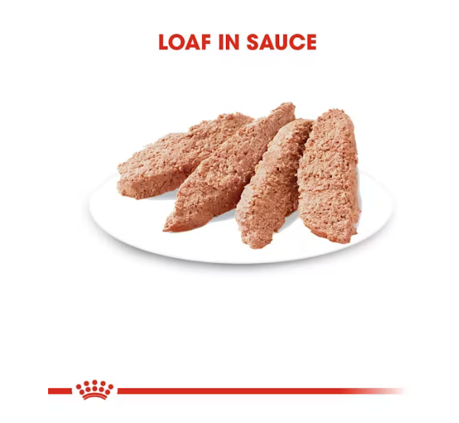Royal Canin Alimento Húmedo  - Intense Beauty Loaf in Sauce 145g