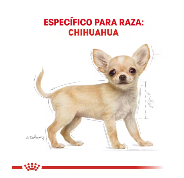 Royal Canin- Chihuahua Cachorro 1.1 kg