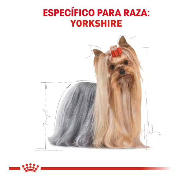 Royal Canin - Yorkshire Terrier Adulto