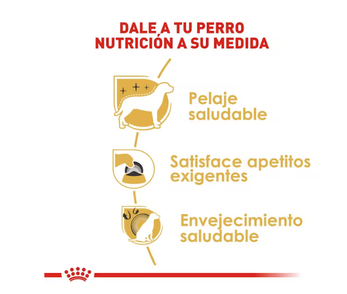Royal Canin - Yorkshire Terrier Adulto