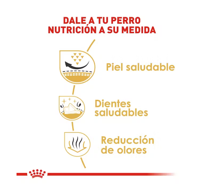 Royal Canin - Shih-tzu Adulto