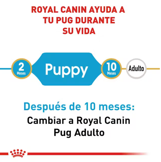 Royal Canin - Pug Cachorro 1.1 kg