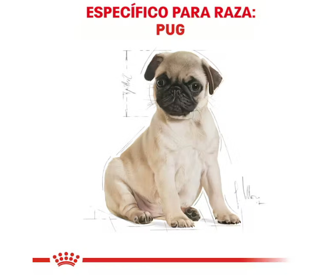 Royal Canin - Pug Cachorro 1.1 kg