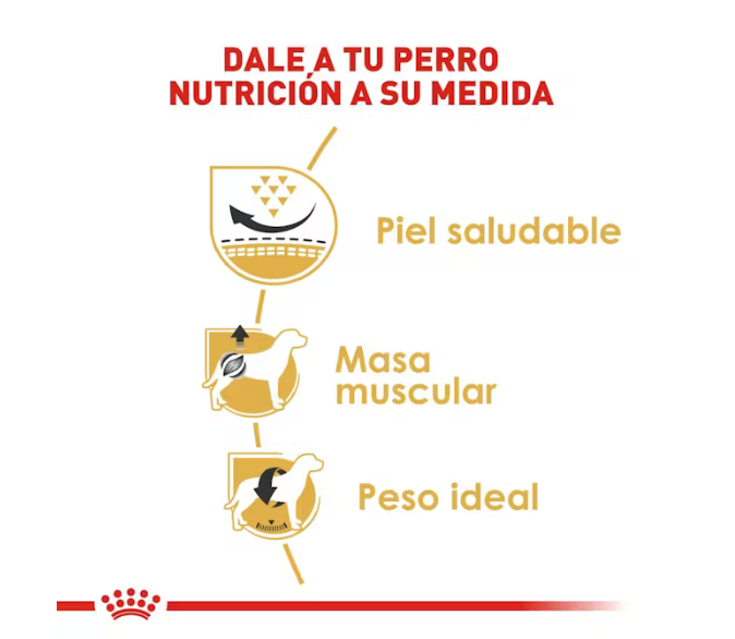 Royal Canin - Pug Adulto 4.5 kg.
