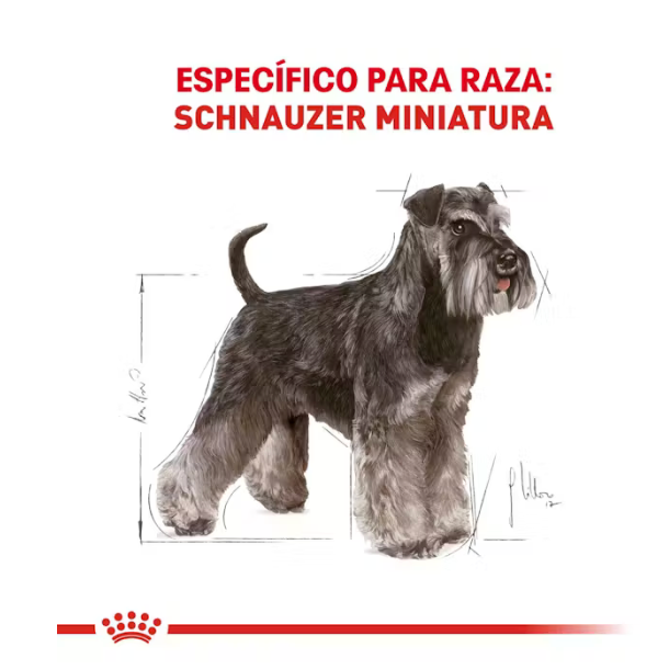 Royal Canin - Schnauzer Miniatura Adulto 4.5 kg