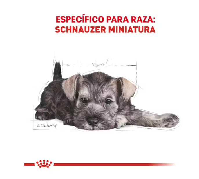 Royal Canin - Schnauzer Miniatura Cachorro 1.1 kg