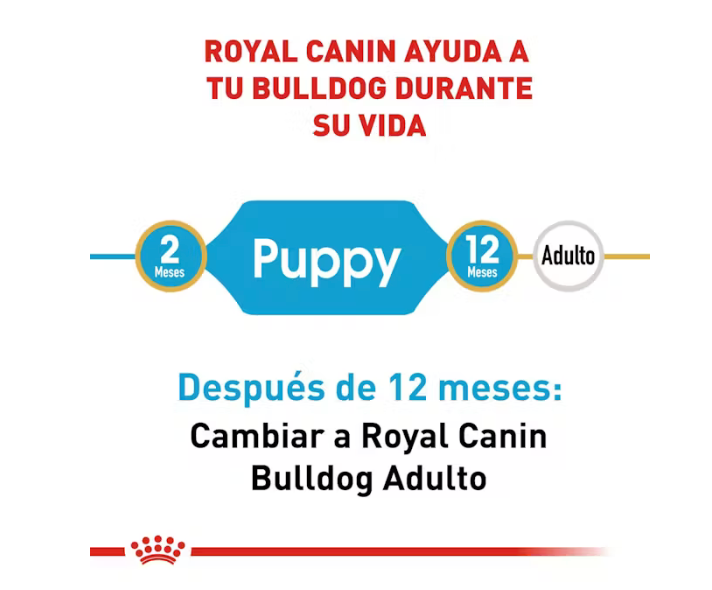 Royal Canin - Bulldog Inglés Cachorro