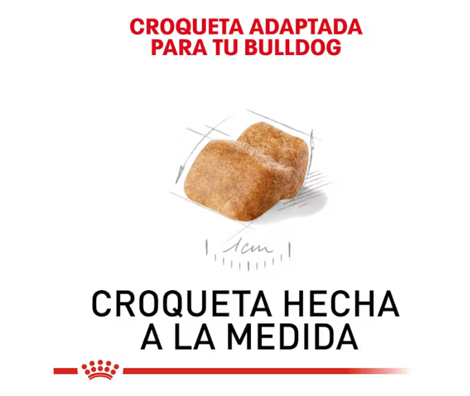 Royal Canin - Bulldog Inglés Cachorro
