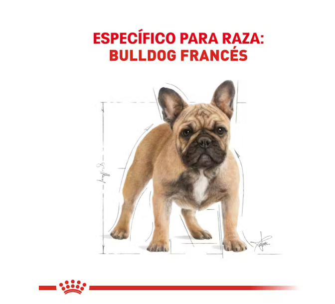 Royal Canin - French Bulldog Adulto 7.72 kg.