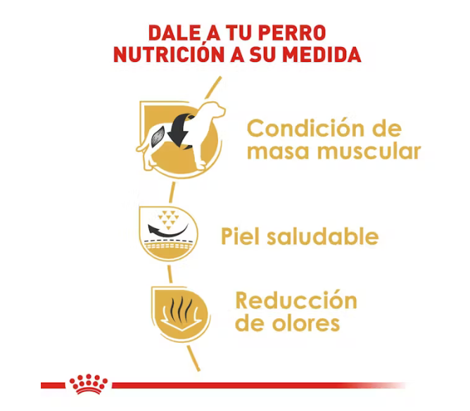 Royal Canin - French Bulldog Adulto 7.72 kg.