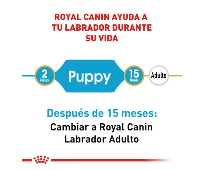 Royal Canin - Labrador Retriever Cachorro 13.62 kg.