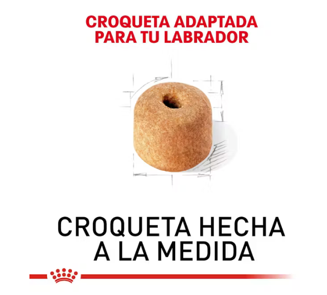 Royal Canin - Labrador Retriever Adulto
