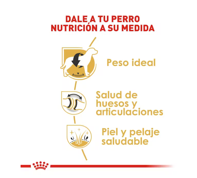 Royal Canin - Labrador Retriever Adulto