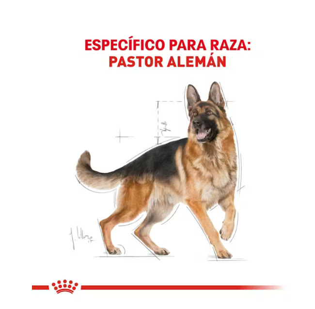 Royal Canin - Pastor Alemán Adulto 13.61 kg