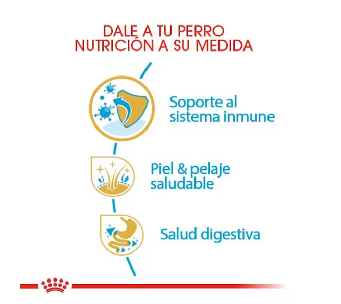 Royal Canin - Golden Retriever cachorro 13.61 kg.