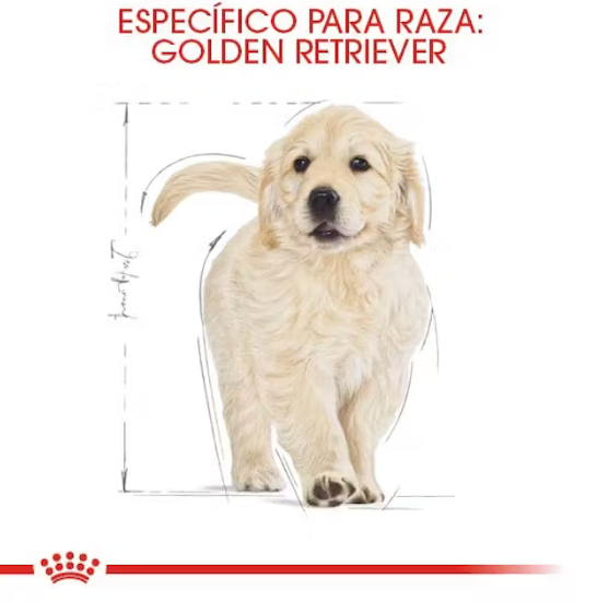 Royal Canin - Golden Retriever cachorro 13.61 kg.