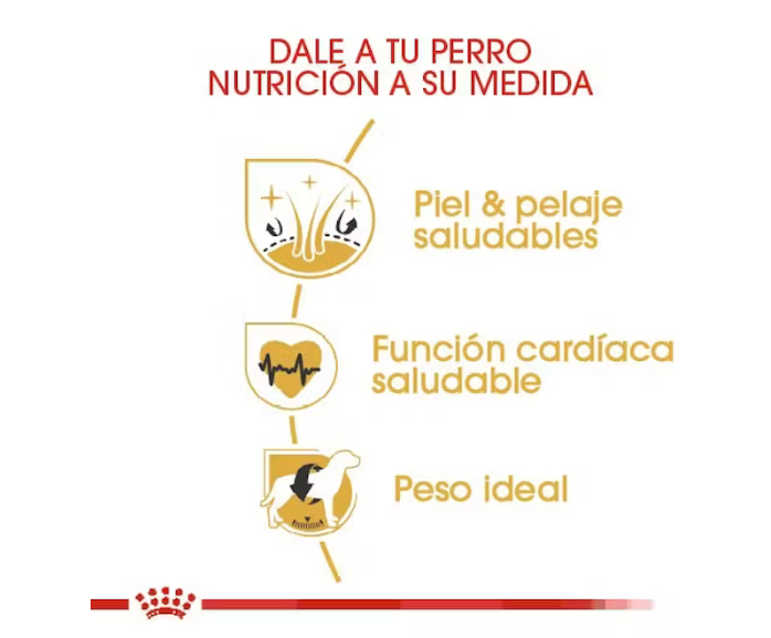 Royal Canin - Golden Retriever Adulto 13.61 kg