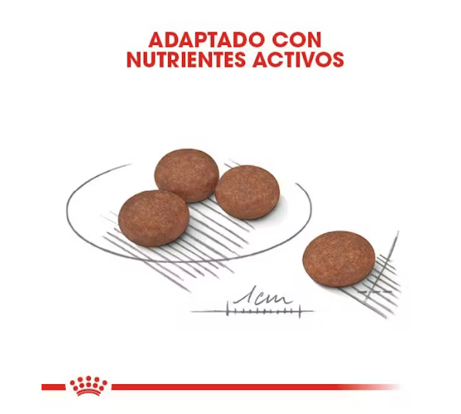 Royal Canin - Small Digestive Care 1.5 kg