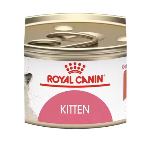 Royal Canin Alimento Húmedo - Kitten Thin Slices In Gravy 85g