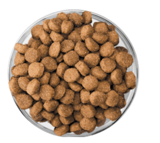Eukanuba - PUPPY MEDIUM BREED