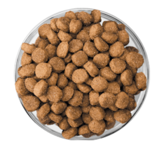 Eukanuba - PUPPY LARGE BREED