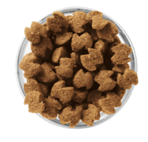 EUKANUBA - SENIOR MEDIUM BREED