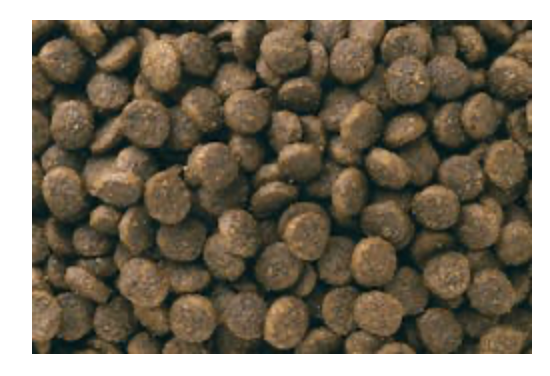 Eukanuba - PUPPY SMALL BREED